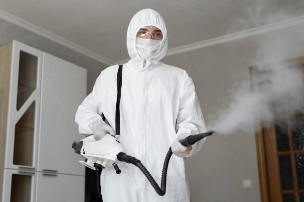 Best Black Mold Removal  in Greenacres, FL